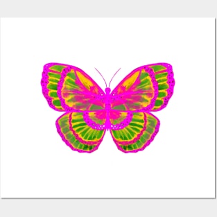 Pink and Green Butterfly Posters and Art